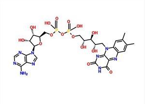 Flaviini adeniini dinukleotiid CAS 146-14-5