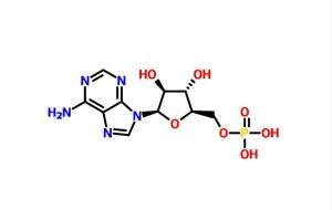 Vidarabiinmonofosfaat CAS 29984-33-6