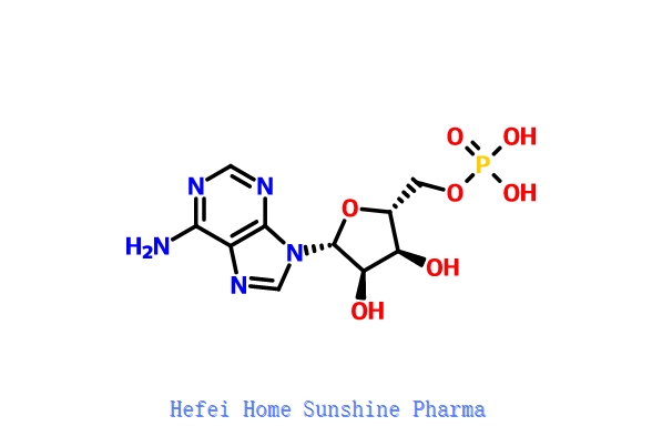 Adenosiin 5'-monofosfaat (AMP) CAS 61-19-8