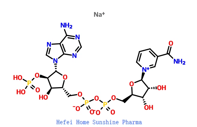 Beeta-Nikotiinamiid-adeniindinukleotiidfosfaat-naatriumsool NADP pluss Na CAS 1184-16-3