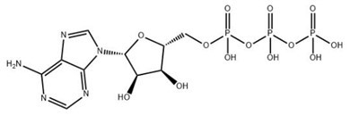 Adenosiin 5'-trifosfaat CAS 56-65-5